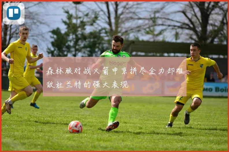 森林狼对战火箭申京拼尽全力却难敌杜兰特的强大表现